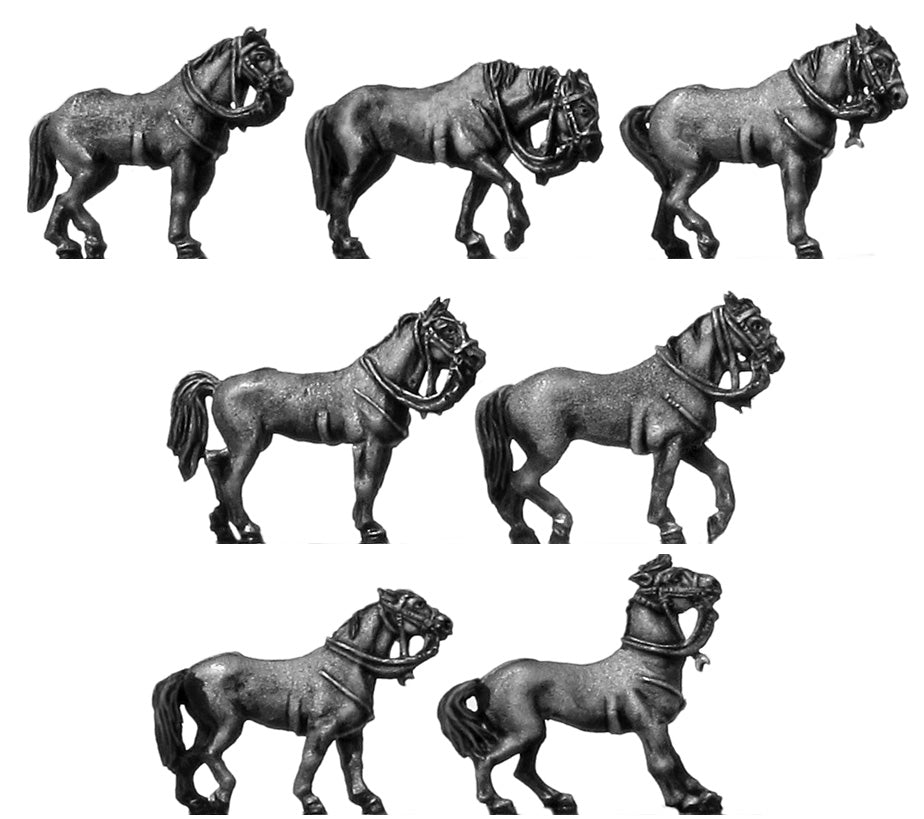 Light horse standing/walking