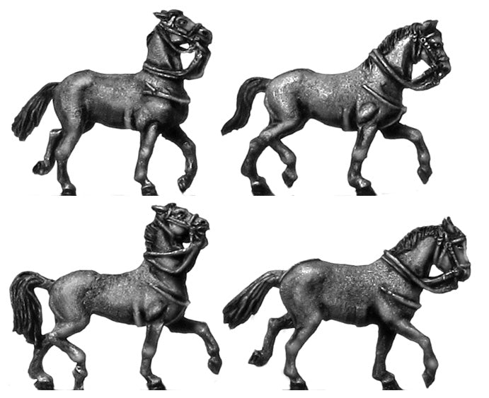 Heavy horse trotting