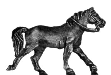 Horse charging