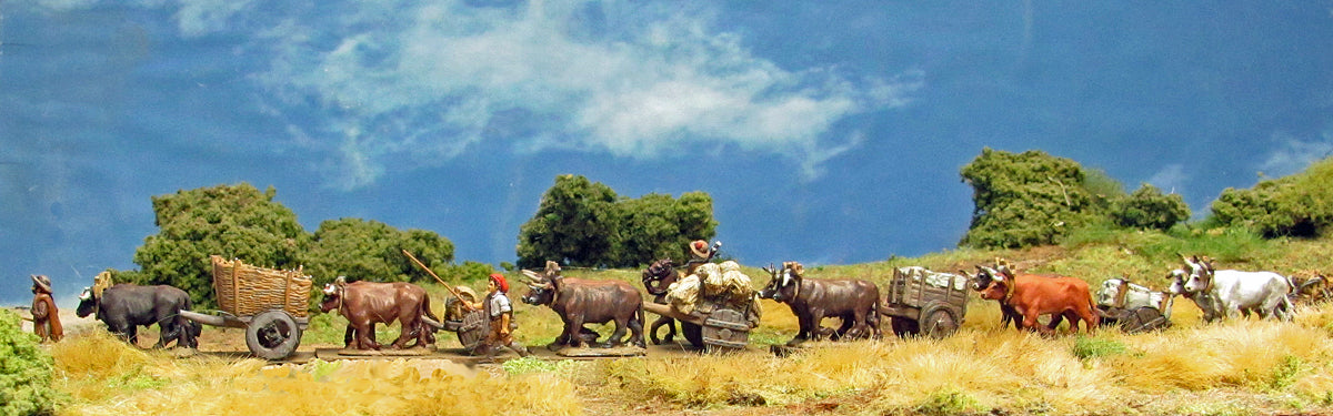 Ox cart caravan