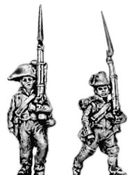 Line fusilier bicorne