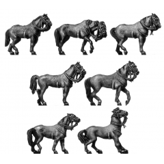 Light cavalry horse, standing/walking