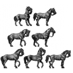 Heavy cavalry horse, standing