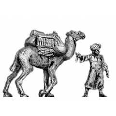 Baggage camel
