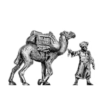 Baggage camel