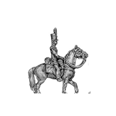 Light infantry mounted officer