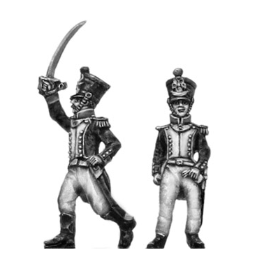Grenadier, Officers