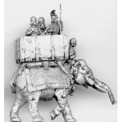 Elephant and crew