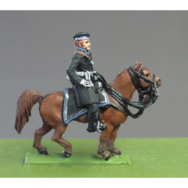 Duke of Brunswick mounted, Waterloo