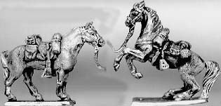 Horse tethered