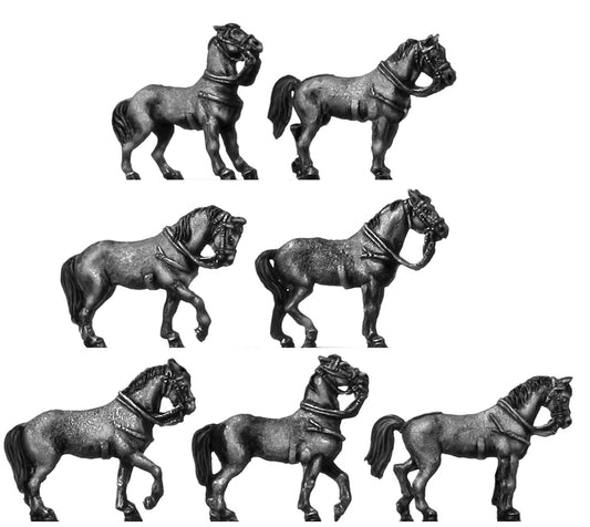 Heavy horse standing