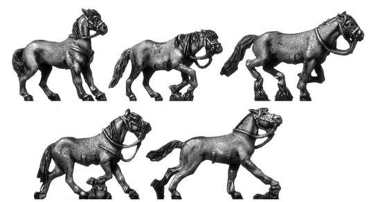 Cossack pony
