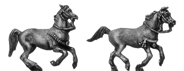 Mameluk horse