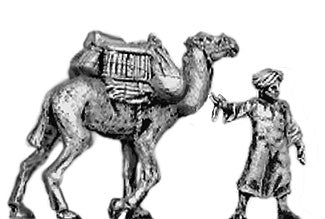Baggage camel