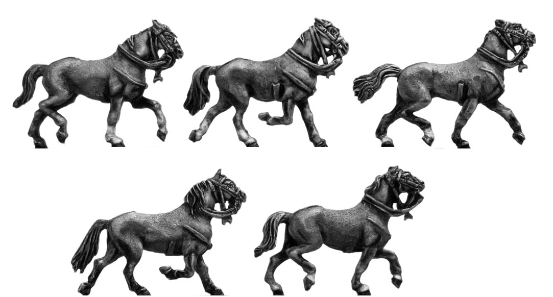 Light horse trotting