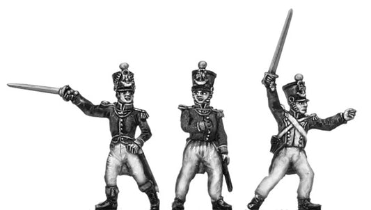Fusilier Officers