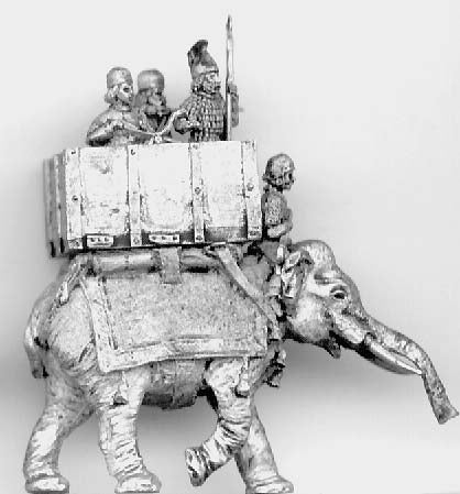 Elephant and crew