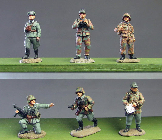 Senior NCOs and officers