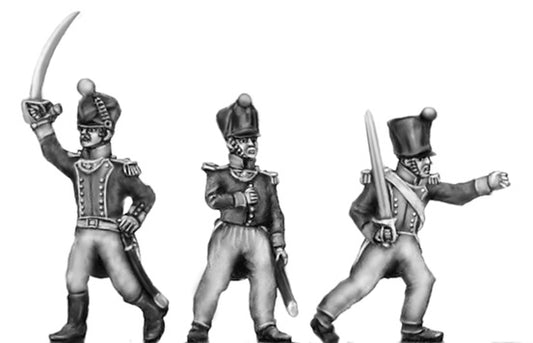 Officer covered shako