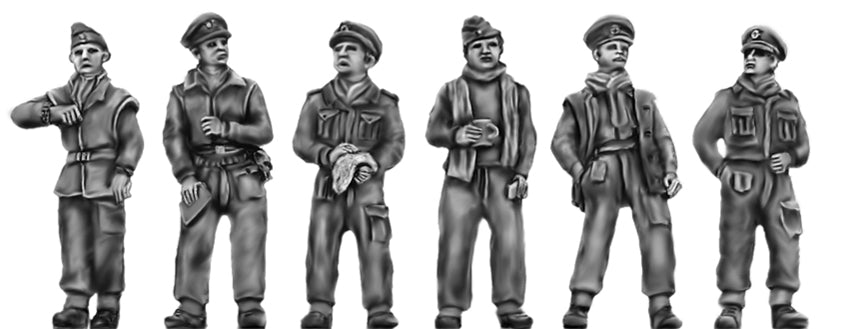 WDF Cavalry Officers in winter gear (Op Compass)