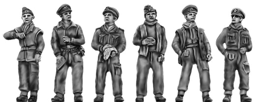 WDF Cavalry Officers in winter gear (Op Compass)