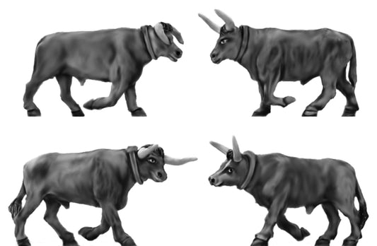 Pair of long horned oxen